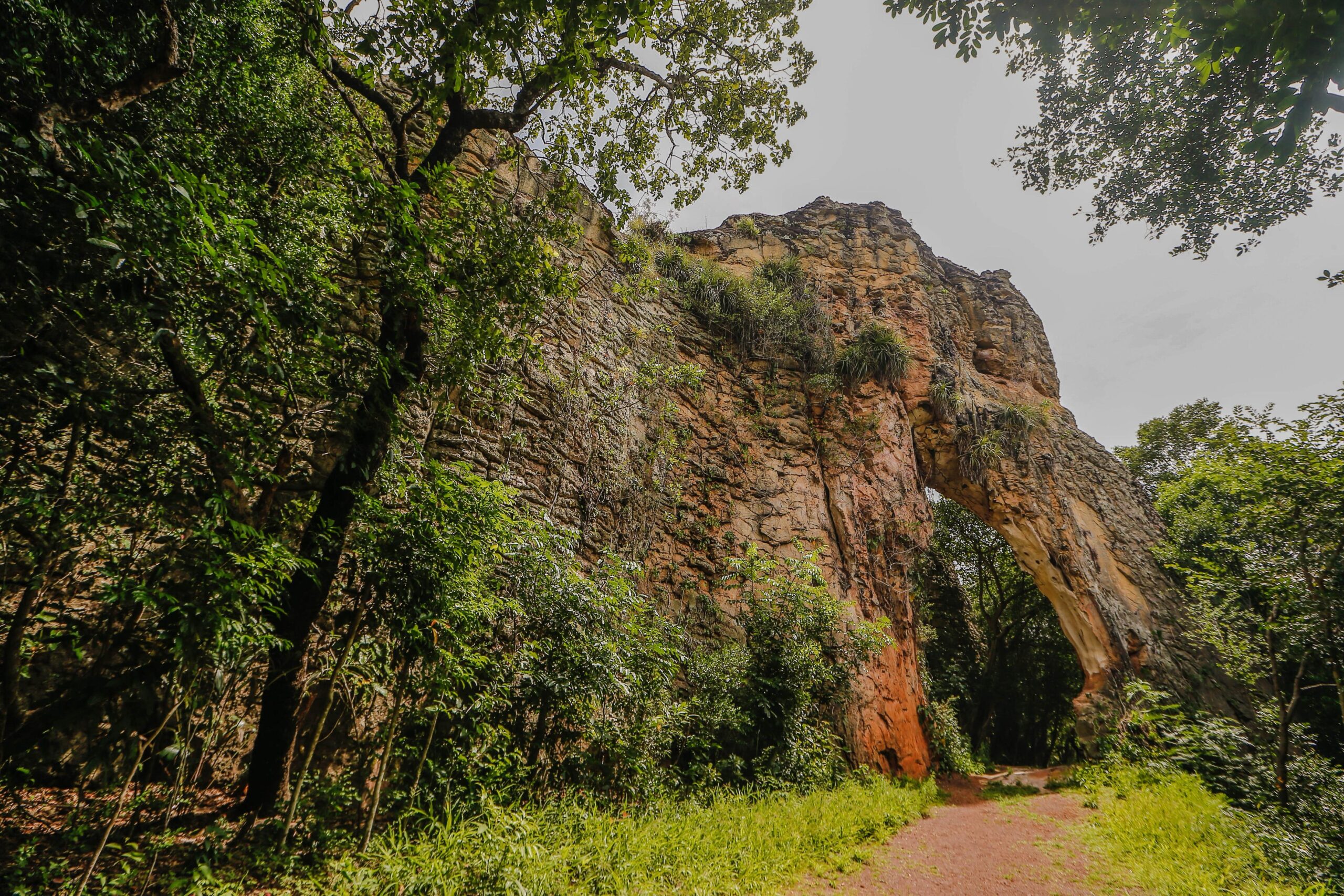 Foto: Reprodução/Secom Piauí