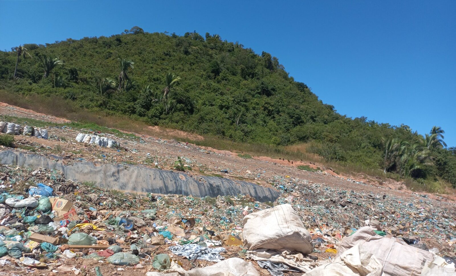 Foto: Reprodução/Secom Piauí