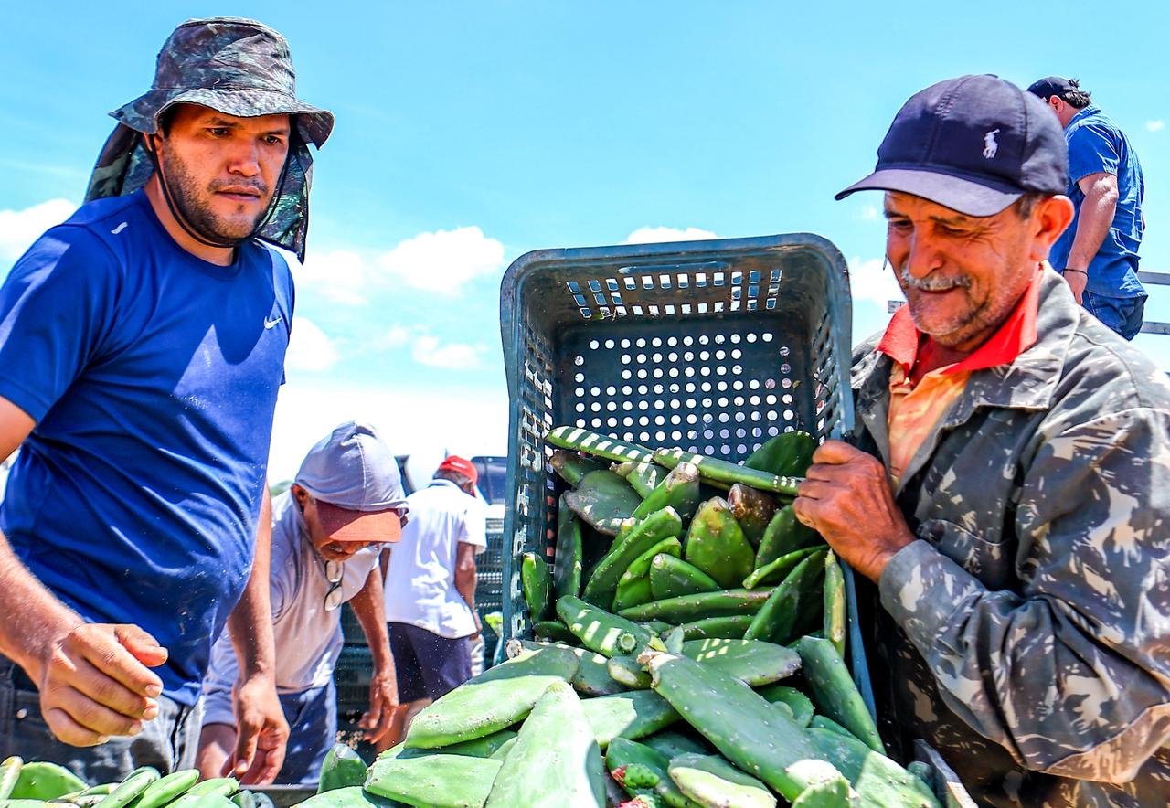 Foto: Reprodução/Secom Piauí