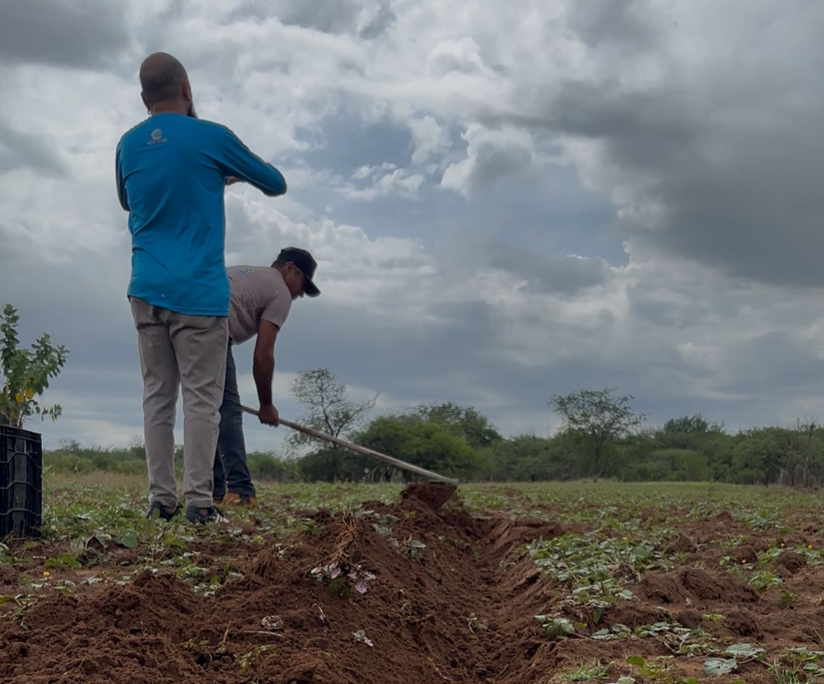 Foto: Reprodução/Secom Piauí