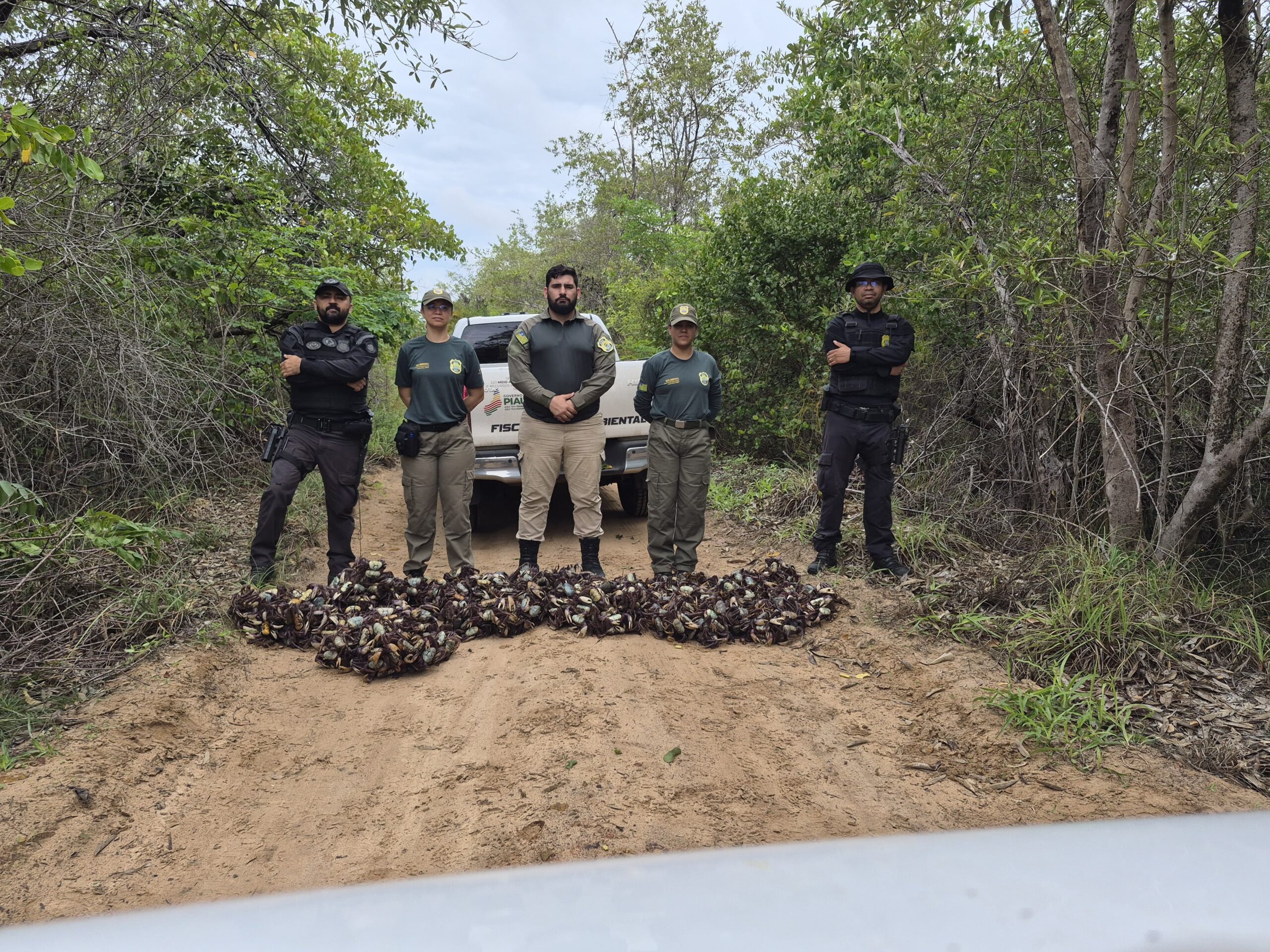 Foto: Reprodução/Secom Piauí