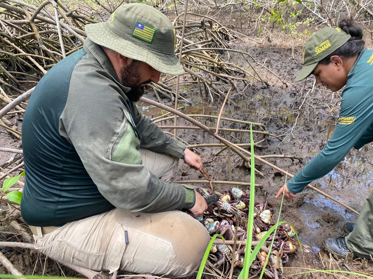 Foto: Reprodução/Secom Piauí