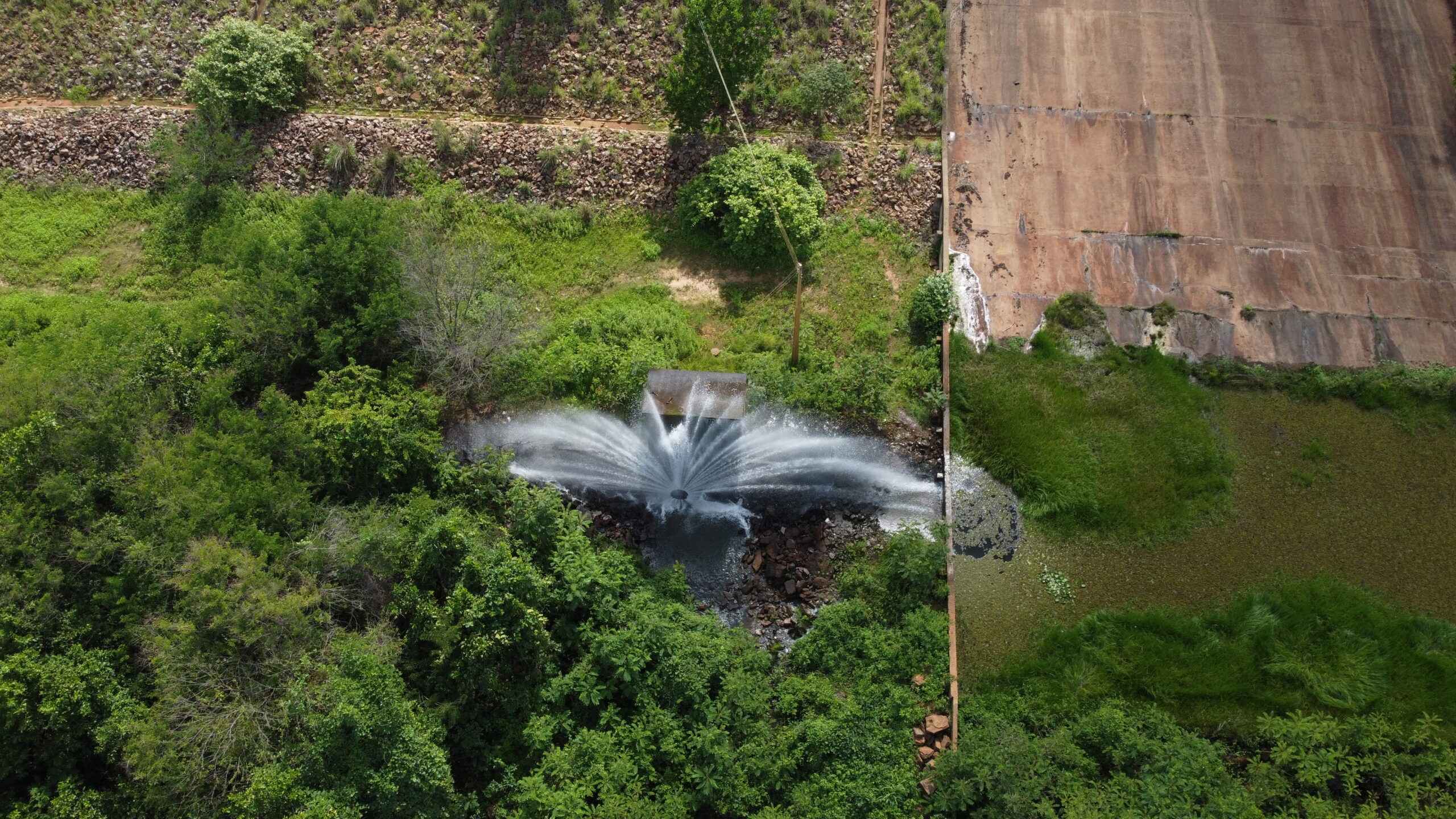 Foto: Reprodução/Secom Piauí