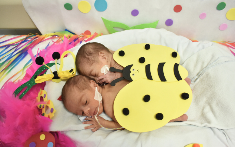 Foto: Reprodução/Secom Ceará