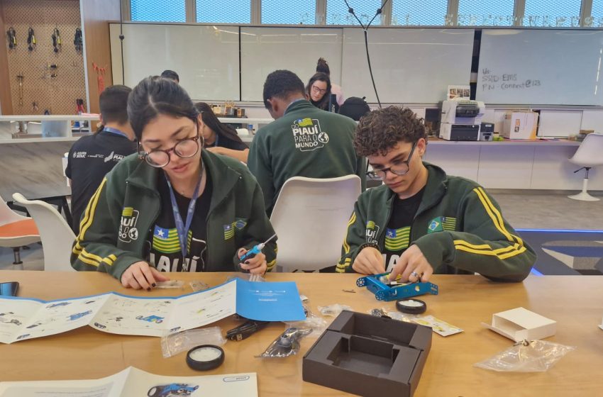  Intercambistas do programa Do Piauí para o Mundo encerram imersão acadêmica e cultural em Singapura