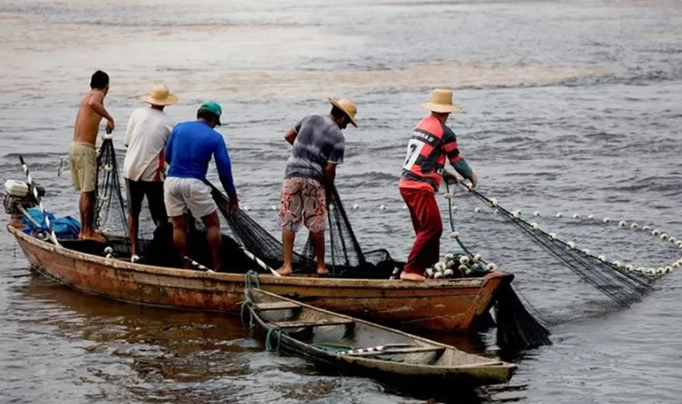  Ministério da Pesca cancela licenças de pescadores em 24 estados