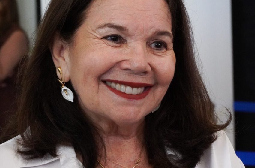  Protagonista nacional na abertura de negócios, Piauí registra crescimento recorde com 38.982 novas empresas