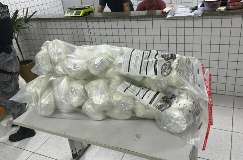  Polícia Militar apreende mais de 28 quilos de drogas e munições em condomínio de Parnaíba