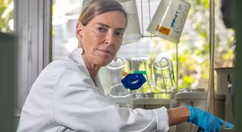 wp header logo 308.png