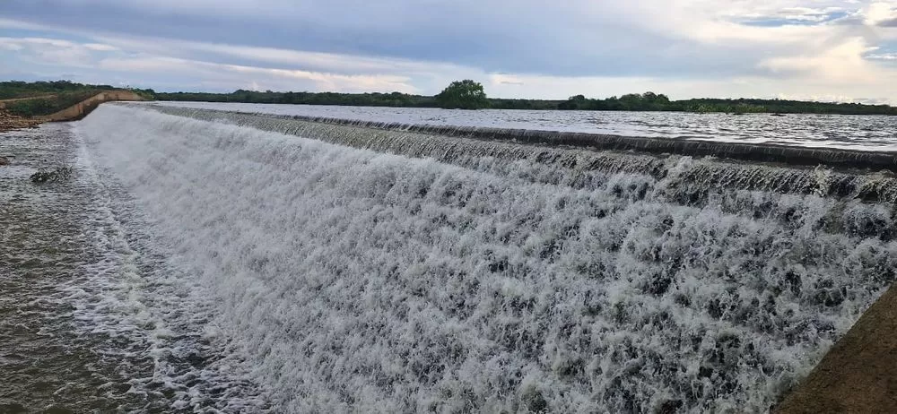 wp header logo 349.png