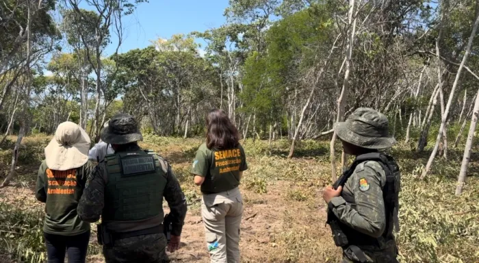 Semace registra aumento de 45% nas autuações por irregularidades relacionadas ao licenciamento ambiental