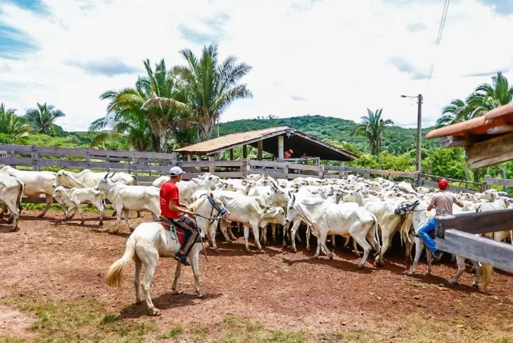 wp header logo 43.png