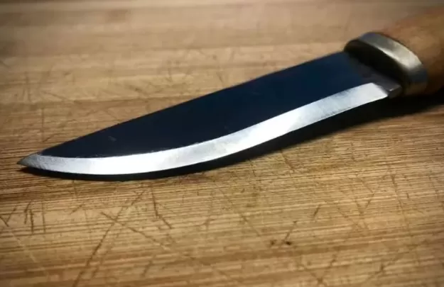 wp header logo 45.png