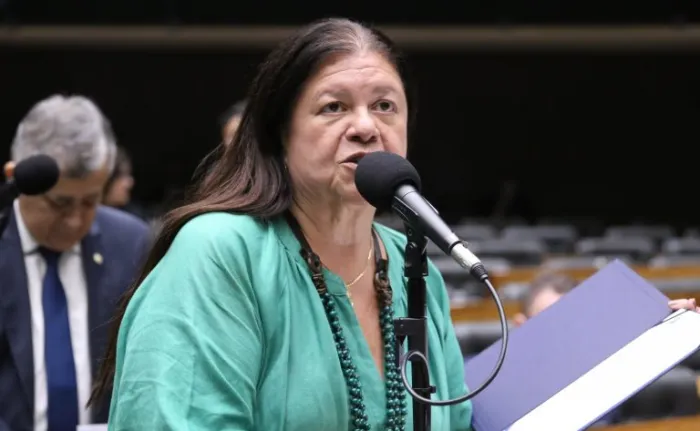  Comissão do Esporte aprova uso de fundo federal para a compra de ingressos para pessoas vulneráveis