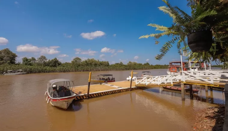 wp header logo 63.png