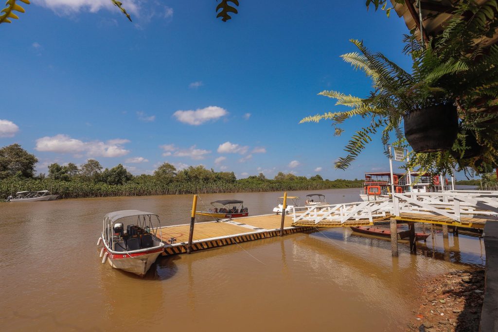 wp header logo 64.png