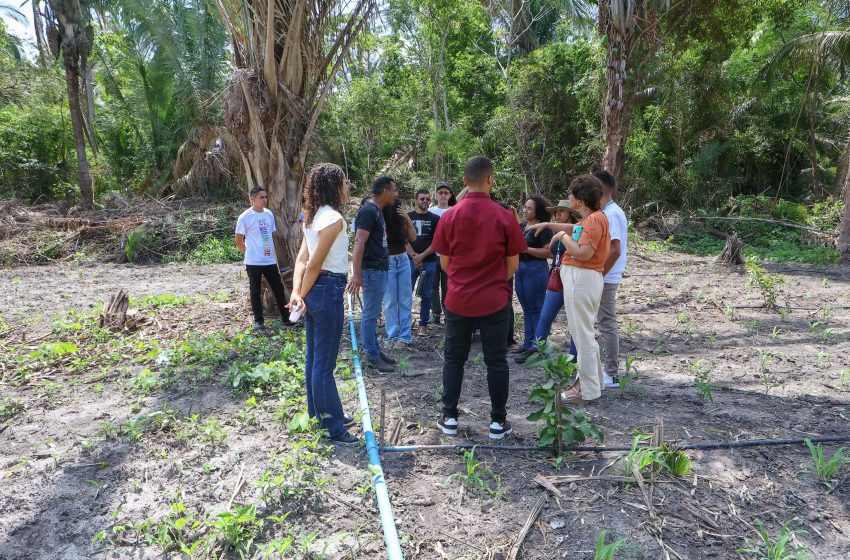  Juventude Rural: alunos participam de encontro em Escola Família Agrícola e conhecem projetos de produção de alimentos