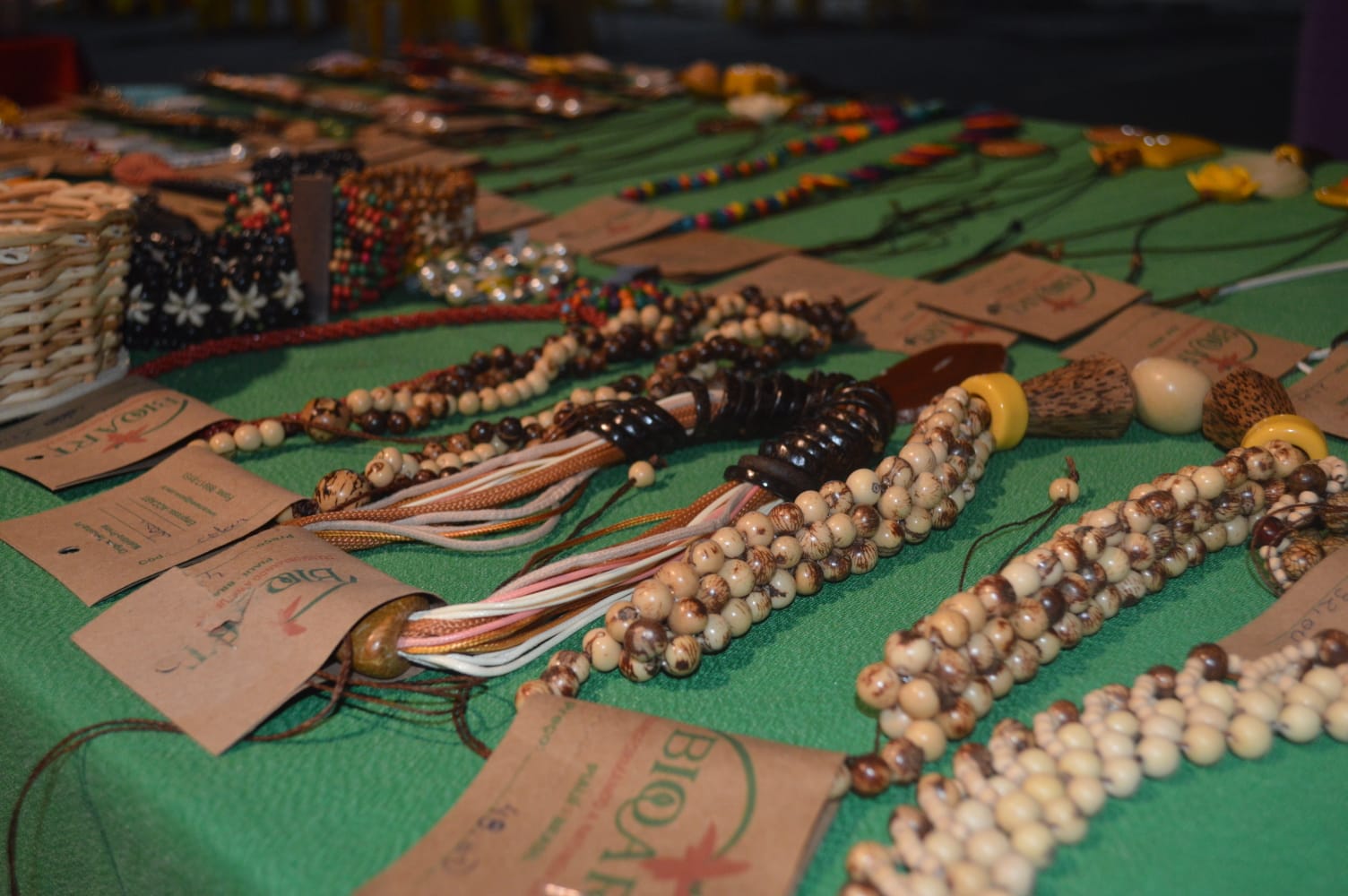 Foto: Reprodução/Secom Piauí