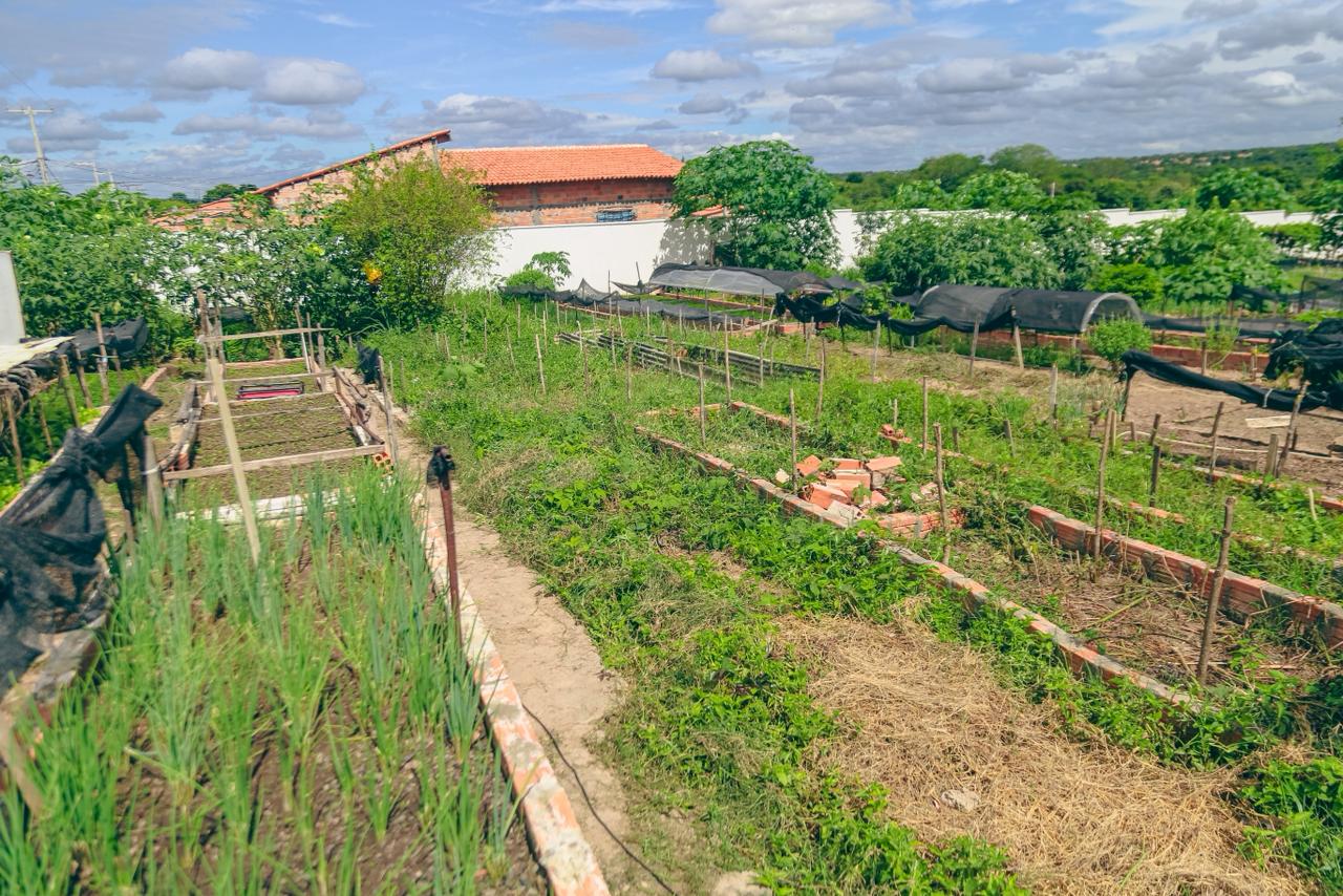 Foto: Reprodução/Secom Piauí