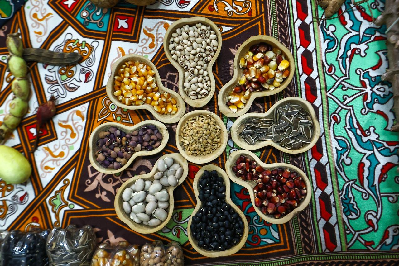 Foto: Reprodução/Secom Piauí