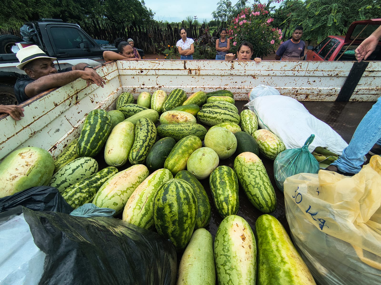 Foto: Reprodução/Secom Piauí