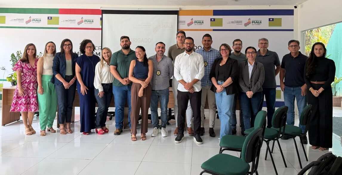 Foto: Reprodução/Secom Piauí