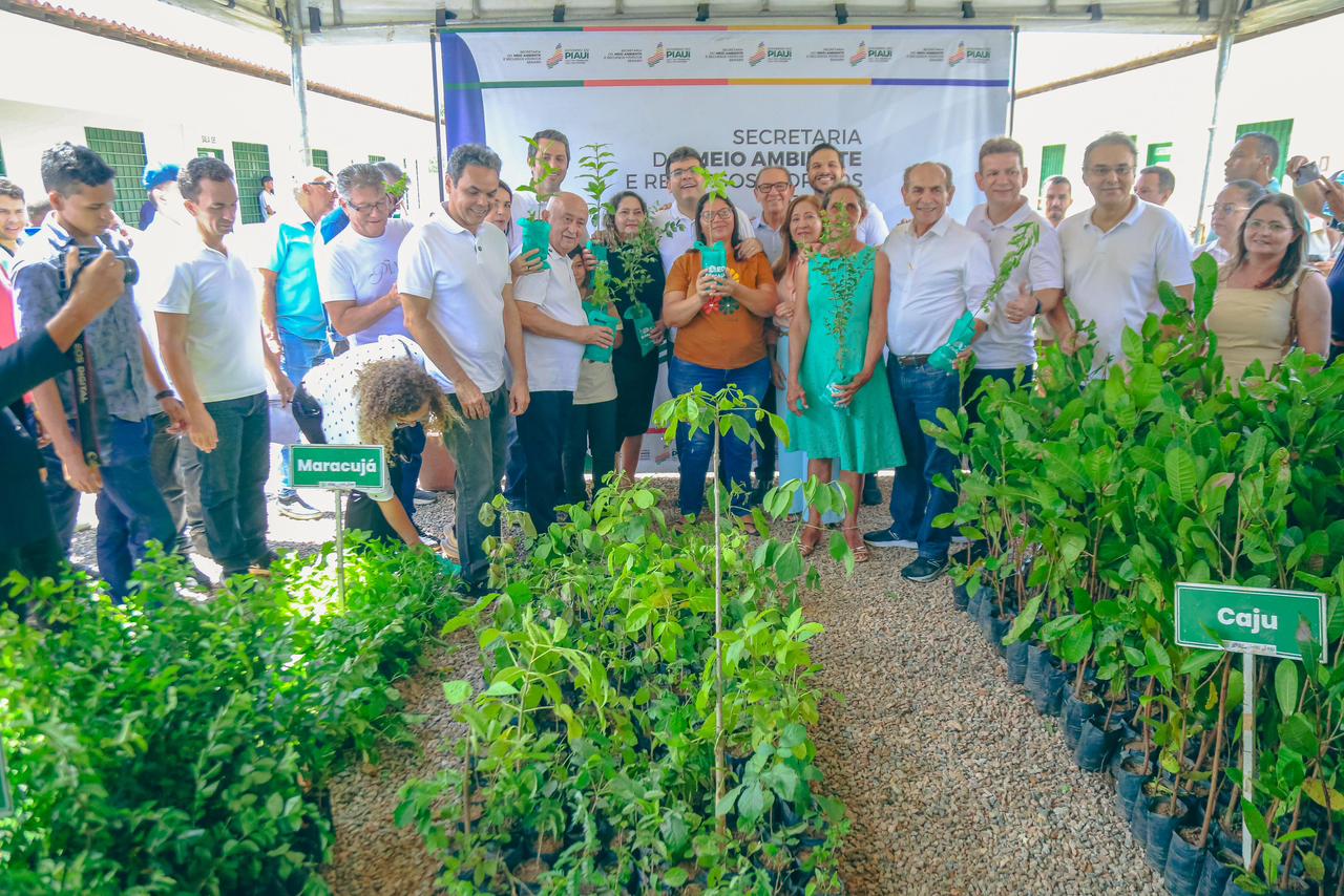 Foto: Reprodução/Secom Piauí