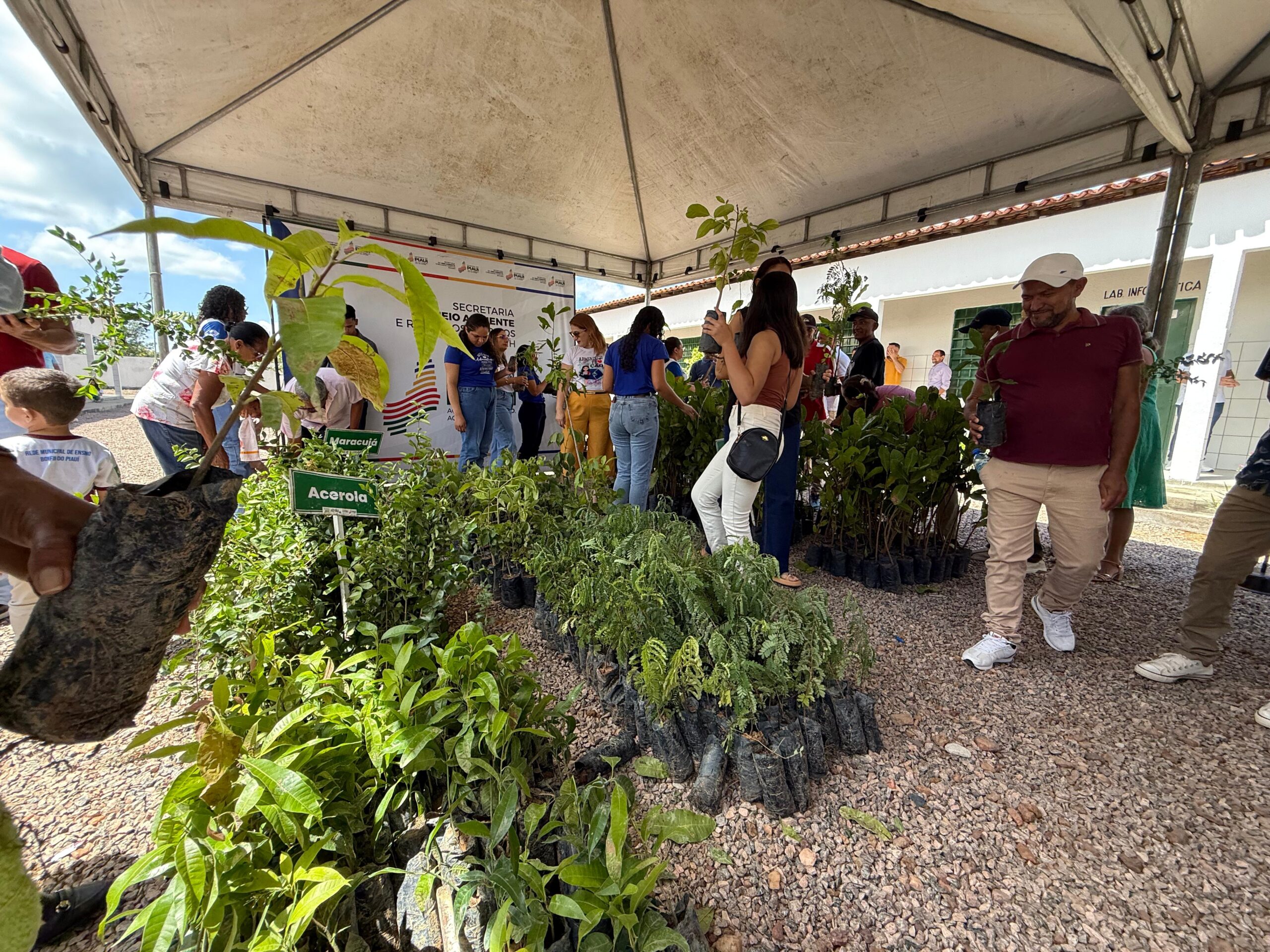 Foto: Reprodução/Secom Piauí