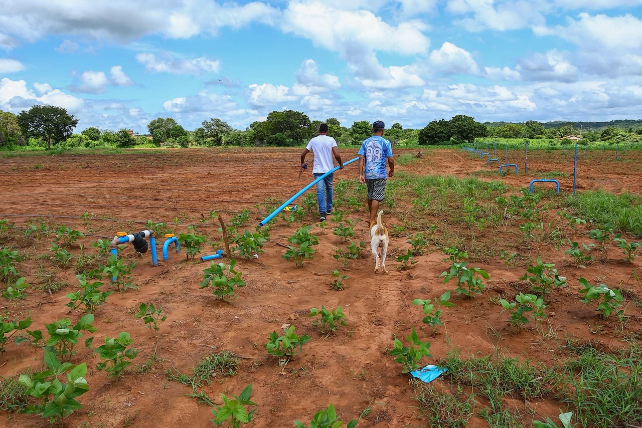 Foto: Reprodução/Secom Piauí