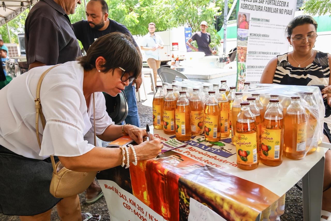 Foto: Reprodução/Secom Piauí