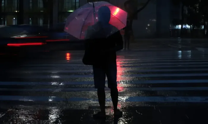 wp header logo 142.png