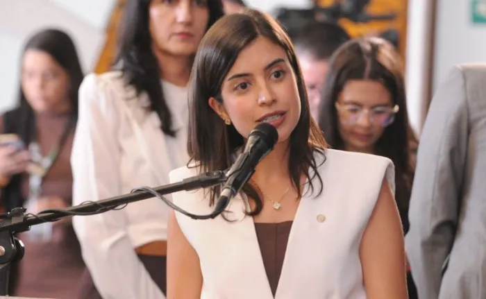  Comissão aprova Anna Nery como patrona da enfermagem no Brasil