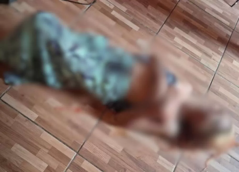 wp header logo 234.png