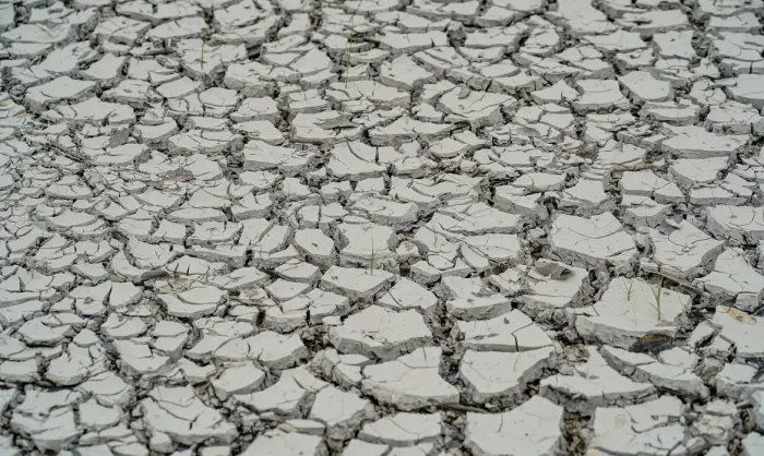 wp header logo 25.png