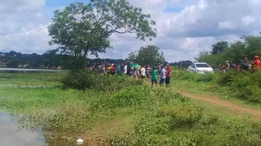 wp header logo 266.png