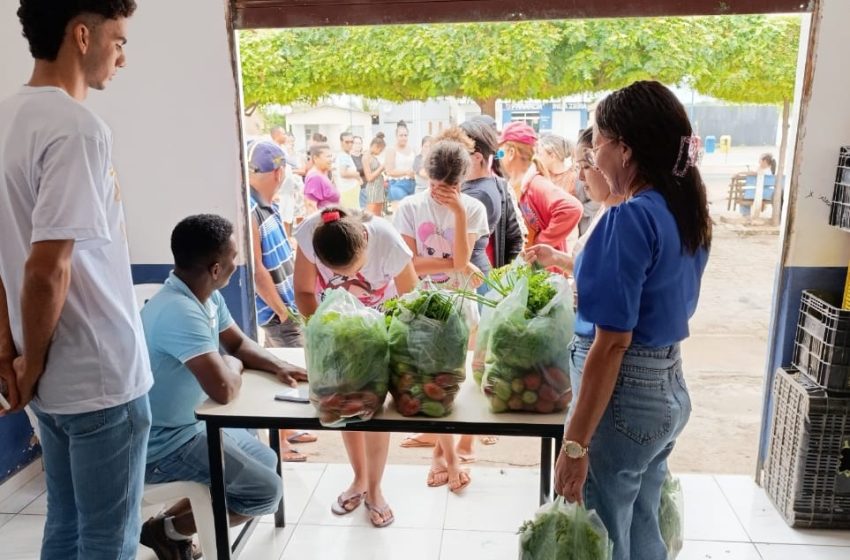  Programa de Alimentação Saudável entrega 100 toneladas de alimentos a 6 mil famílias em fevereiro