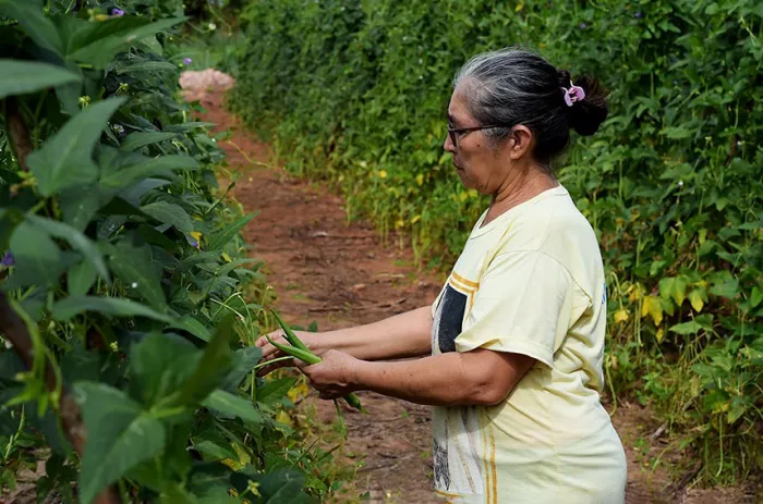 wp header logo 416.png