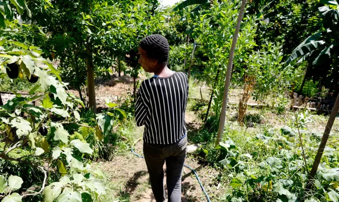 wp header logo 449.png