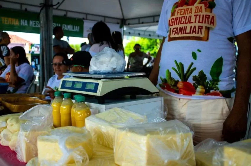  Feira da Agricultura Familiar fortalece economia local em Alto Longá