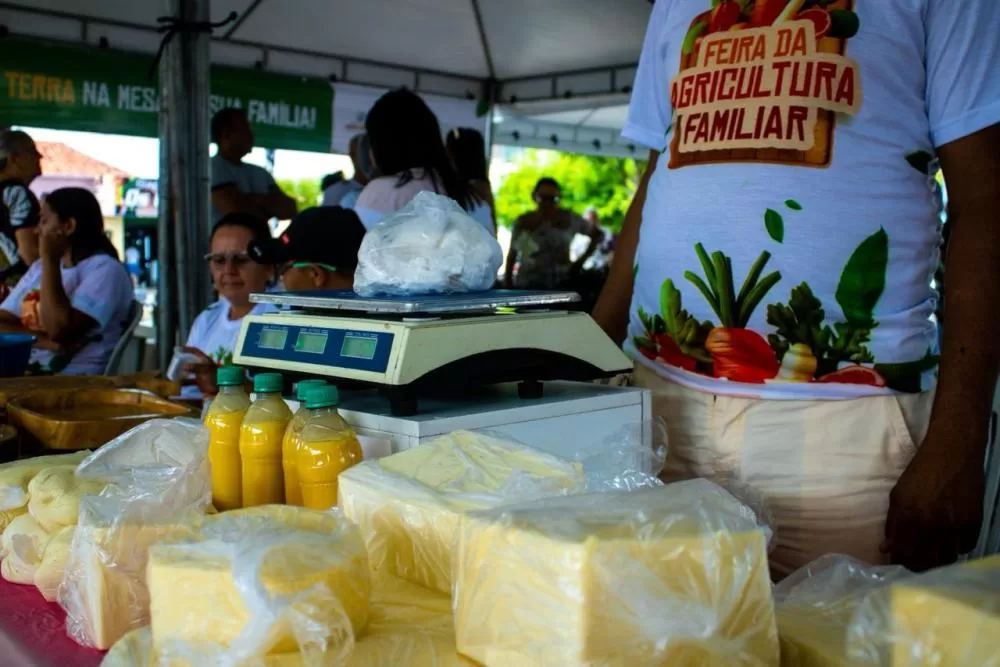 wp header logo 455.png