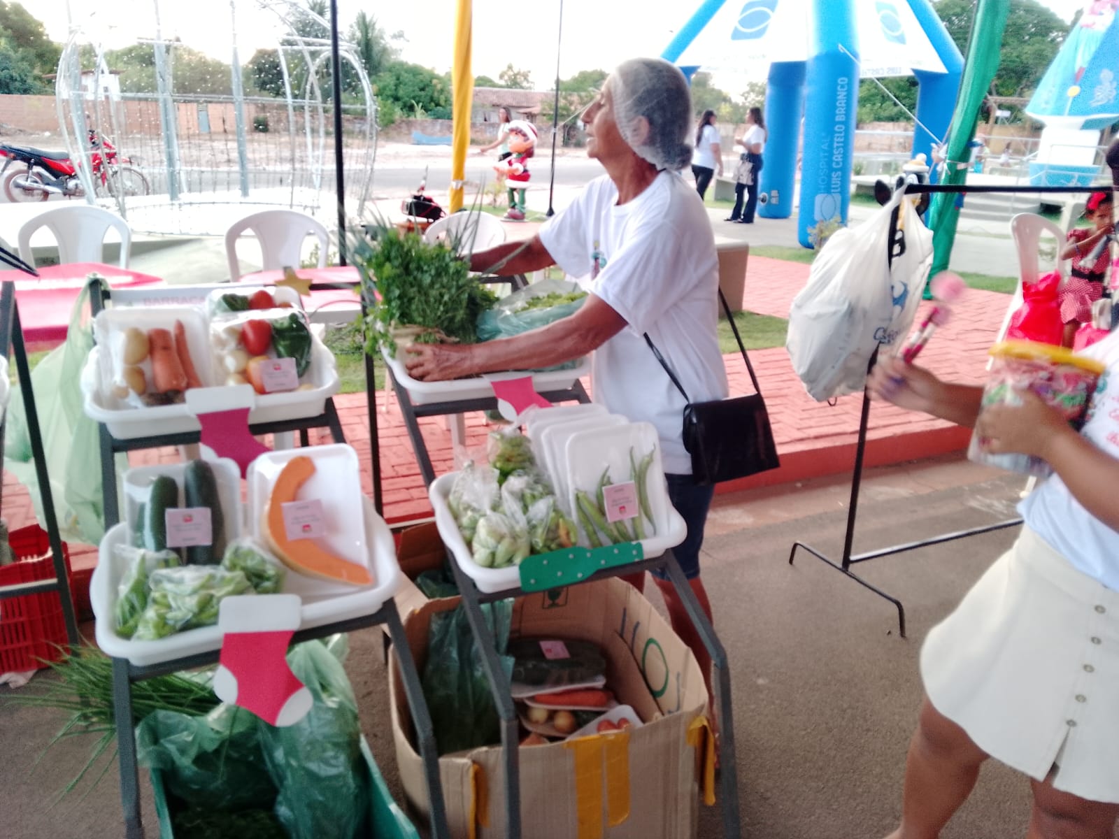 Foto: Reprodução/Secom Piauí