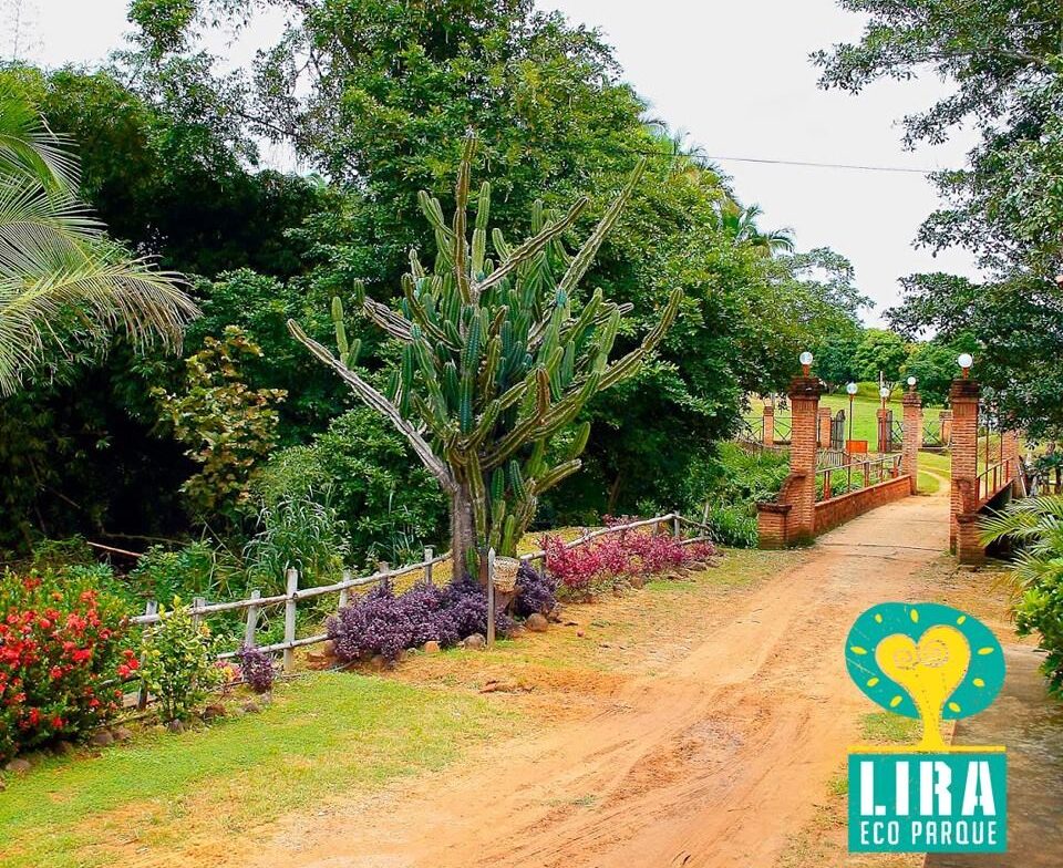 Foto: Reprodução/Secom Piauí