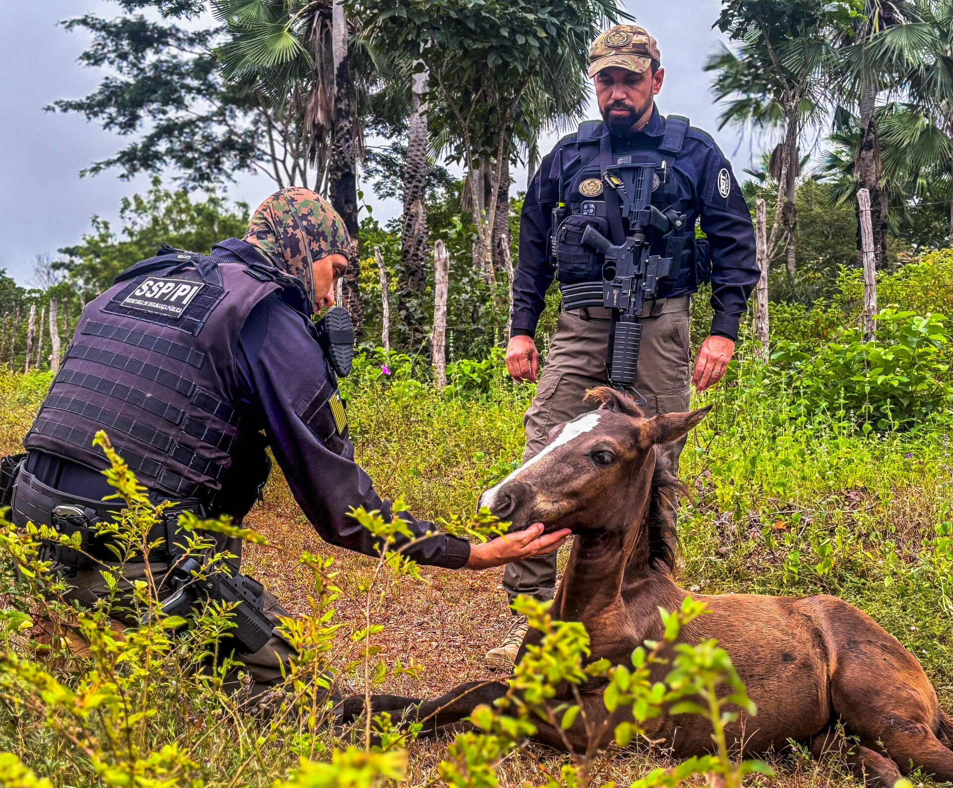 Foto: Reprodução/Secom Piauí