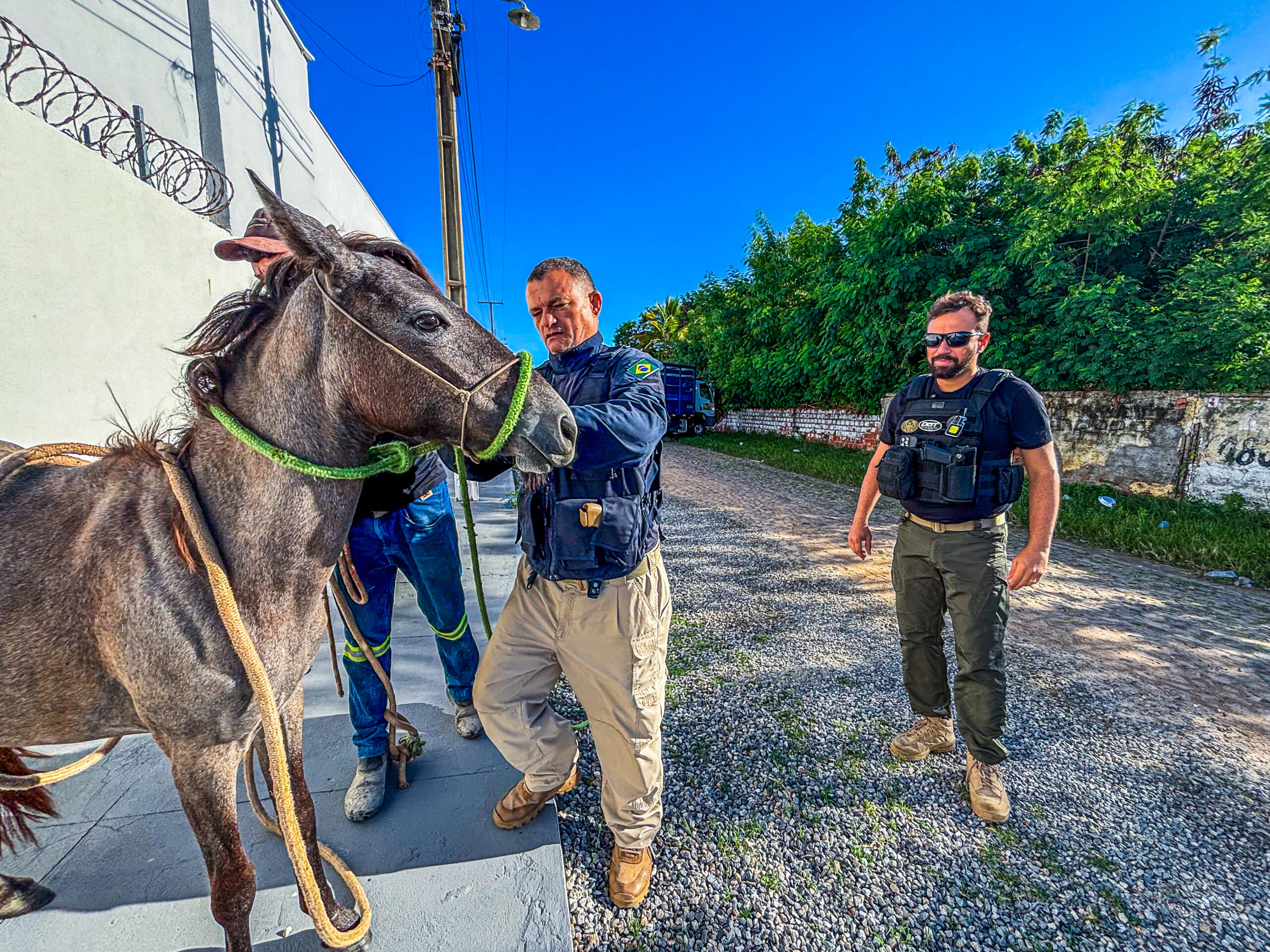 Foto: Reprodução/Secom Piauí