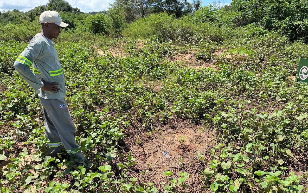 Foto: Reprodução/Secom Piauí