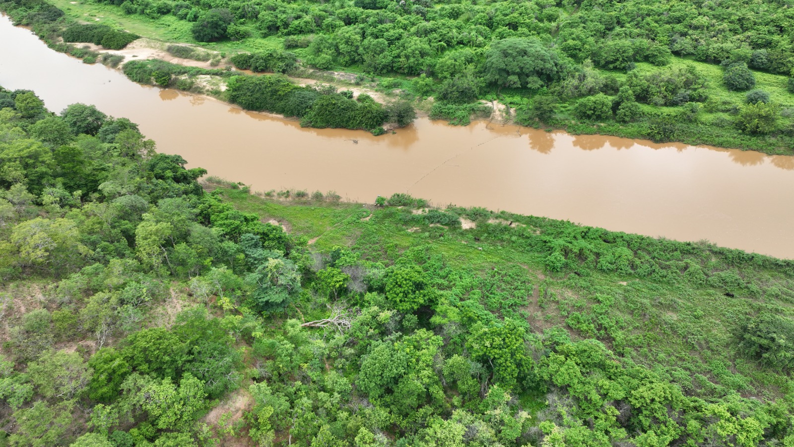 Foto: Reprodução/Secom Piauí