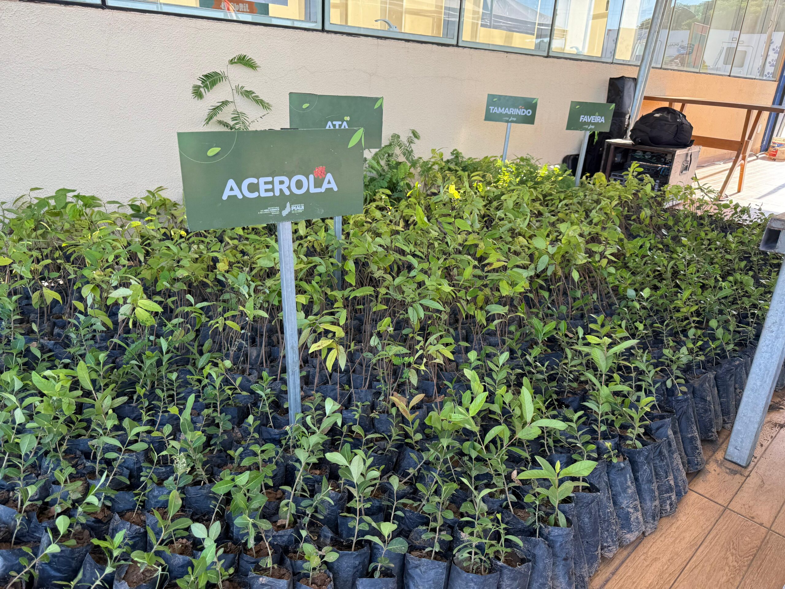 Foto: Reprodução/Secom Piauí