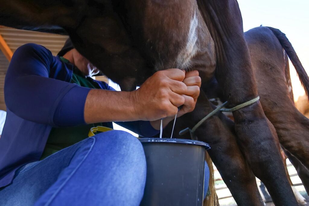 Foto: Reprodução/Secom Piauí