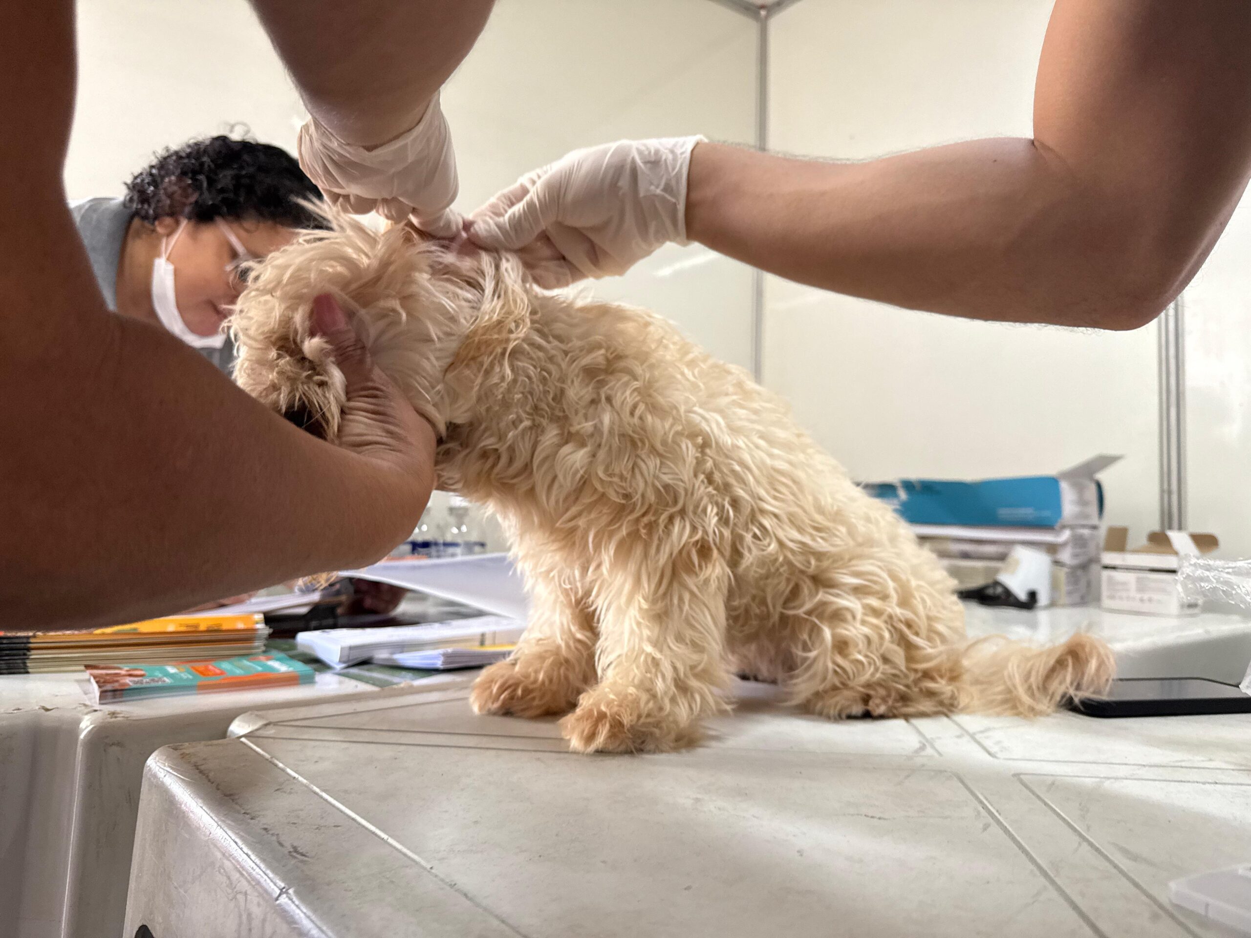 Foto: Reprodução/Secom Piauí