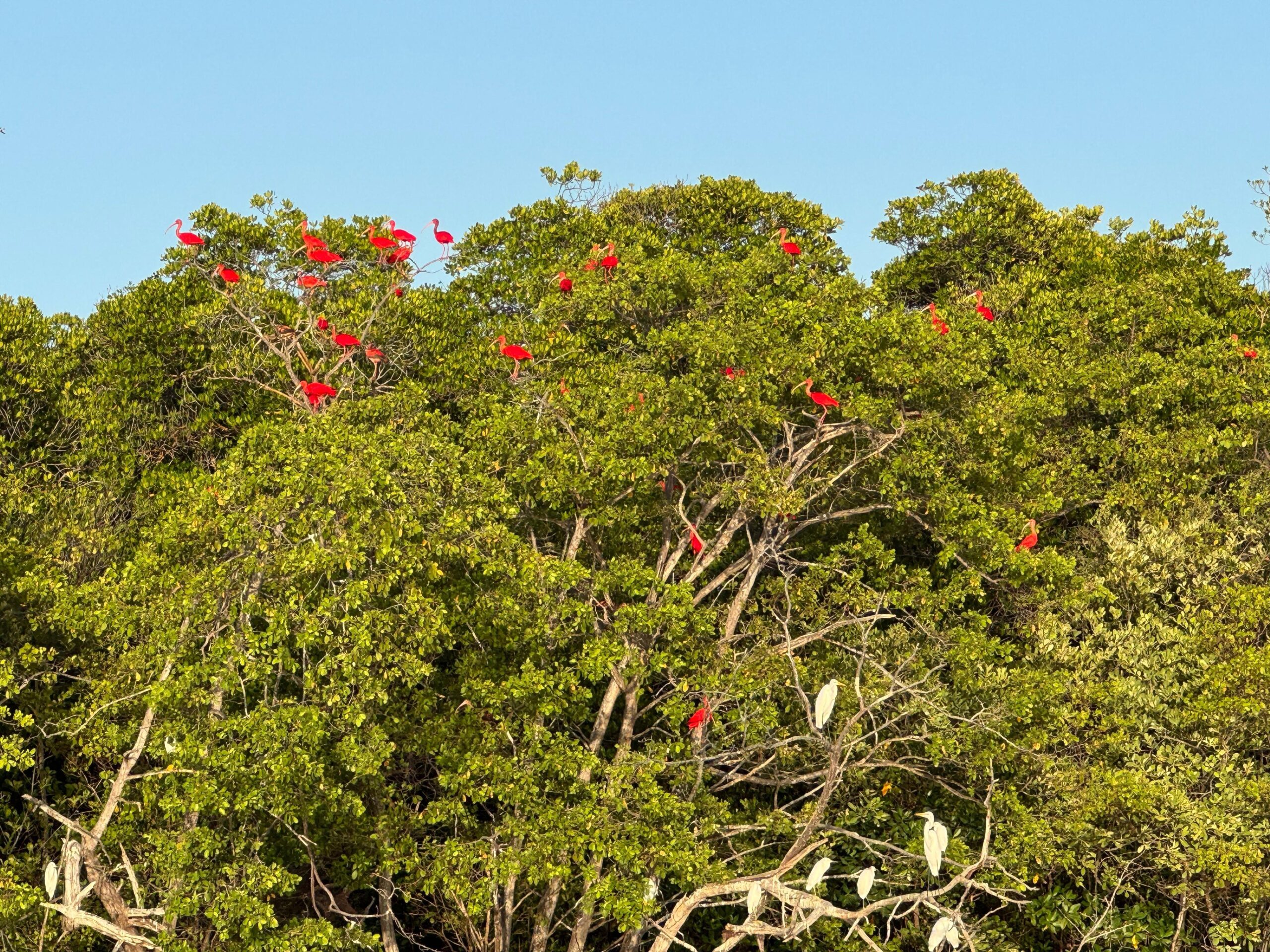 Foto: Reprodução/Secom Piauí